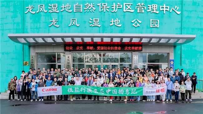 大庆湿地为幕 佳能用影像定格飞羽之美